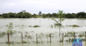 Chuva dos últimos dias causam alegria e alguns transtornos ao município de Antonio Gonçalves