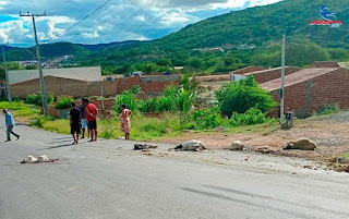 Caminhão atropela e mata diversas ovelhas no anel viário de Andorinha