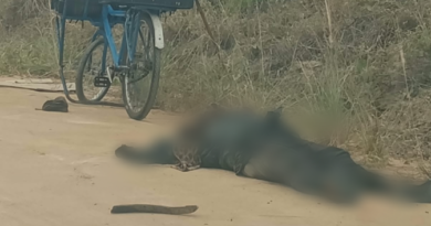 Mulher andarilha é encontrada morta na entrada de Olhos D’água, em Jaguarari