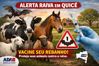 ADAB alerta produtores do Território Piemonte Norte do Itapicuru após confirmação de caso de raiva em propriedade na região de Quicé